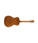 Epiphone - DWHOUNDLX Dobro Hound Dog Deluxe Round Ne Guitar - Image 4