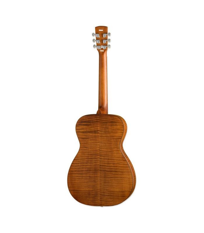 Epiphone - DWHOUNDLX Dobro Hound Dog Deluxe Round Ne Guitar - Image 2