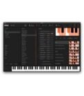 Taqsim Solo Powerful Virtual Instrument - Digital Delivery