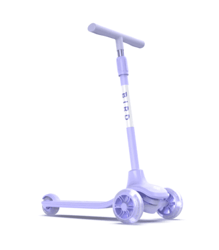 ⁦بيرد – بيردي غلو - توايلايت⁩ - الصورة ⁦1⁩