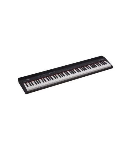 Roland GO-88P