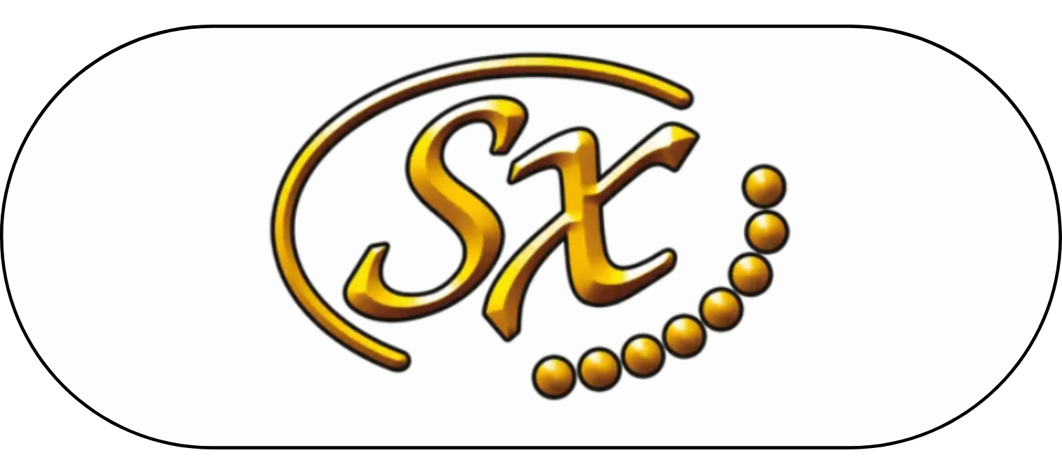SX Guitars