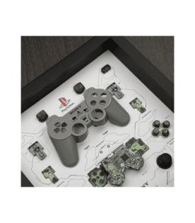 grid dual shock controller