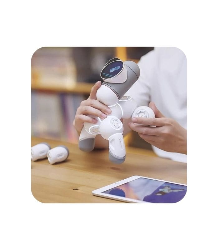 ClicBot Standard kit