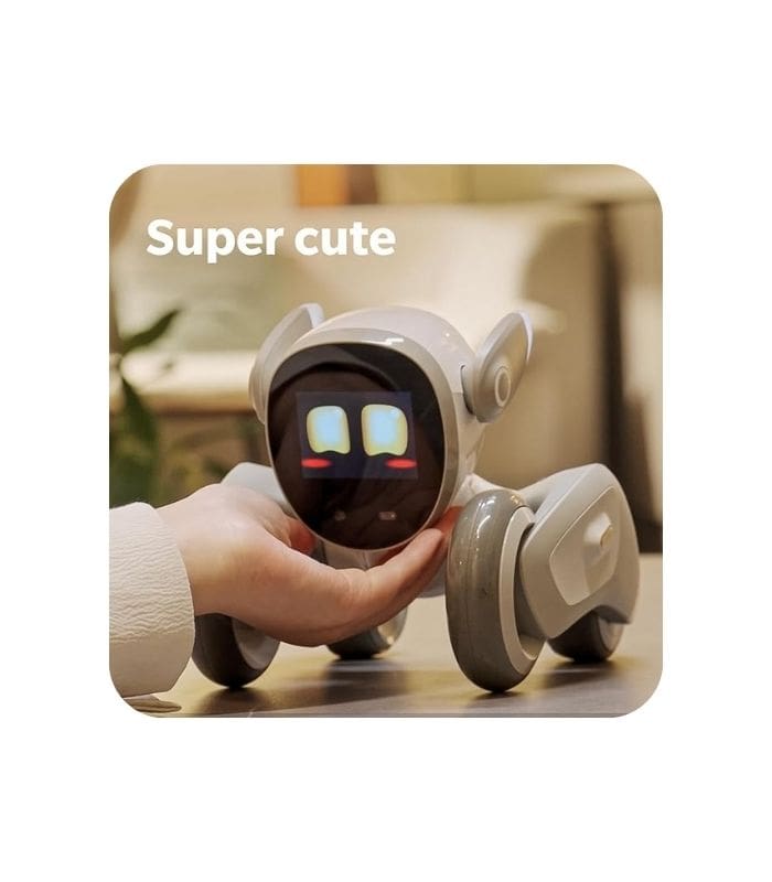 Loona samart robot premuim