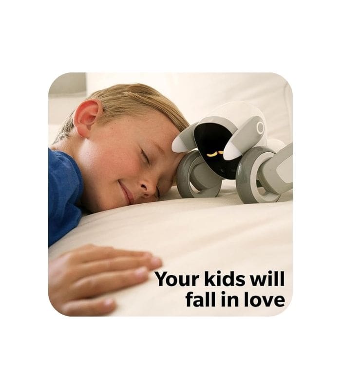 Loona samart robot premuim