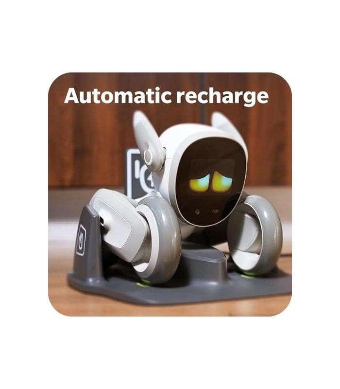 Loona samart robot premuim