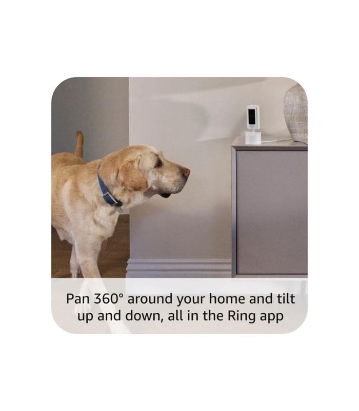 Ring Pan-Tilt Indoor Camera-White