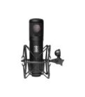 Slate Digital ML-1 VMS Large-Diaphragm Modeling Microphone (Matte Black)