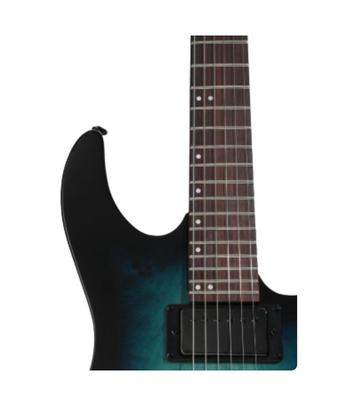 ESP - LTD M200DX Series Electric Guitar Burl Poplar Top Blue Burst Finish - Image 4
