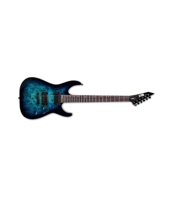 ESP - LTD M200DX Series Electric Guitar Burl Poplar Top Blue Burst Finish - Image 9