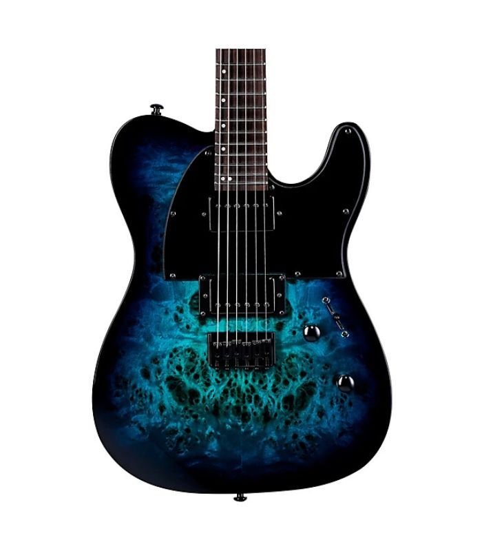 ESP - LTD TE-200DX Series Electric Guitar Blue Burst Finish - Image 5