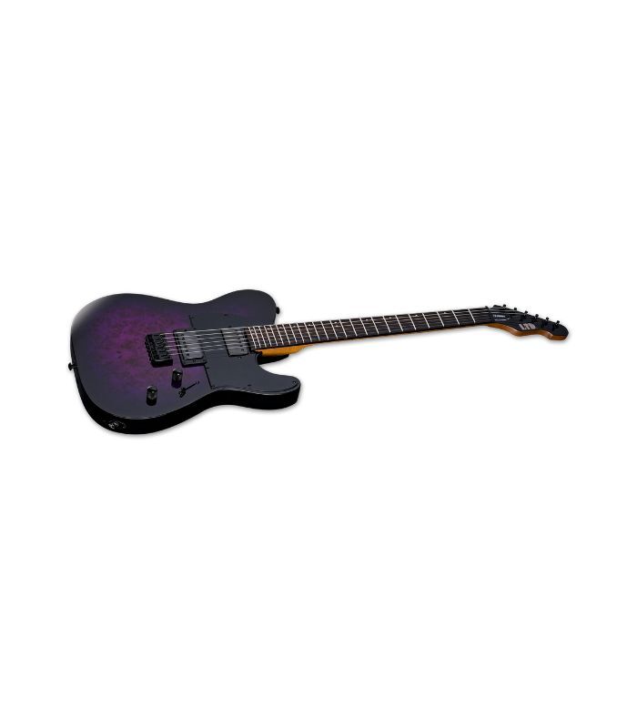 ESP - LTD TE-200DX Series Electric Guitar Purple Burst Finish - Image 2