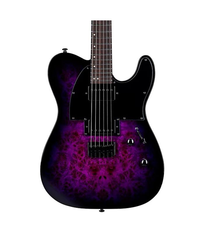 ESP - LTD TE-200DX Series Electric Guitar Purple Burst Finish - Image 8
