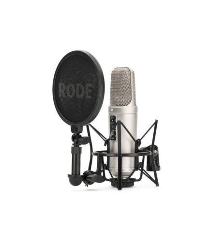 NT2-A Multi-pattern Large-diaphragm Condenser Microphone
