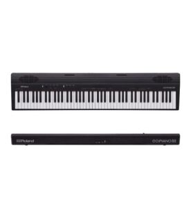 Roland GO-88P
