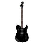 ESP - LTD TE-200 Series Electric Guitar Black Finish