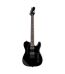 ESP - LTD TE-200 Series Electric Guitar Black Finish