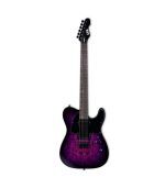ESP - LTD TE-200DX Series Electric Guitar Purple Burst Finish
