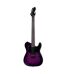 ESP - LTD TE-200DX Series Electric Guitar Purple Burst Finish