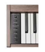 ⁦دونر - إي سي ٧٢٢٢ بيانو رقمي دونر دي إتش بي-١٠٠ برو - خشب الجوز⁩ - الصورة ⁦3⁩