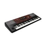 KORG - PA700 Professional Arranger Keyboard