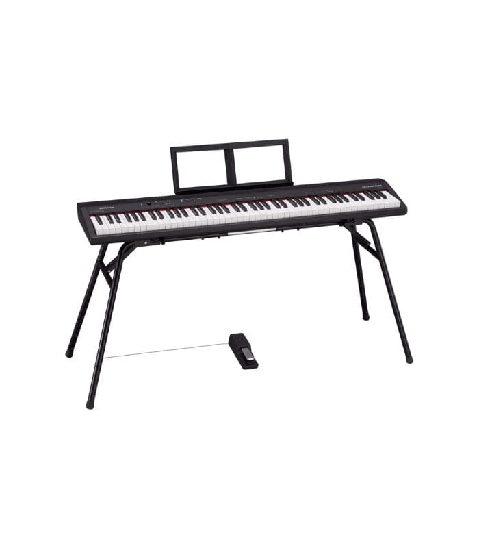Roland GO-88P
