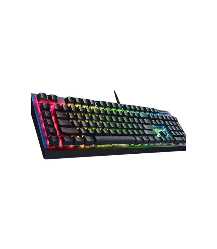 RAZER BLACKWIDOW V4 X