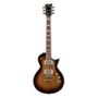 ESP - LTD Eclipse EC-256 Series Electric Guitar Flame Maple Top, Dark Brown Sunburst Finish