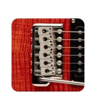 PRS - SE CE 24 orange 03