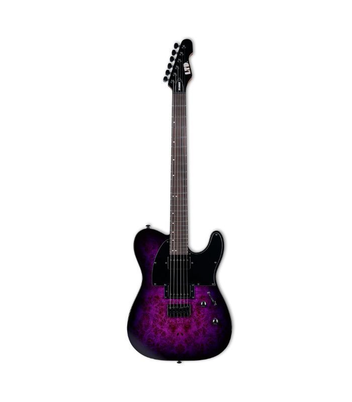 ESP - LTD TE-200DX Series Electric Guitar Purple Burst Finish - Image 1