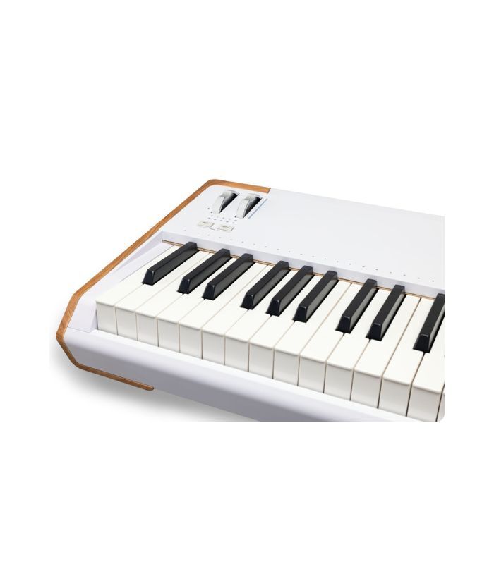 Arturia - AstroLab 88 – White Version - Image 2