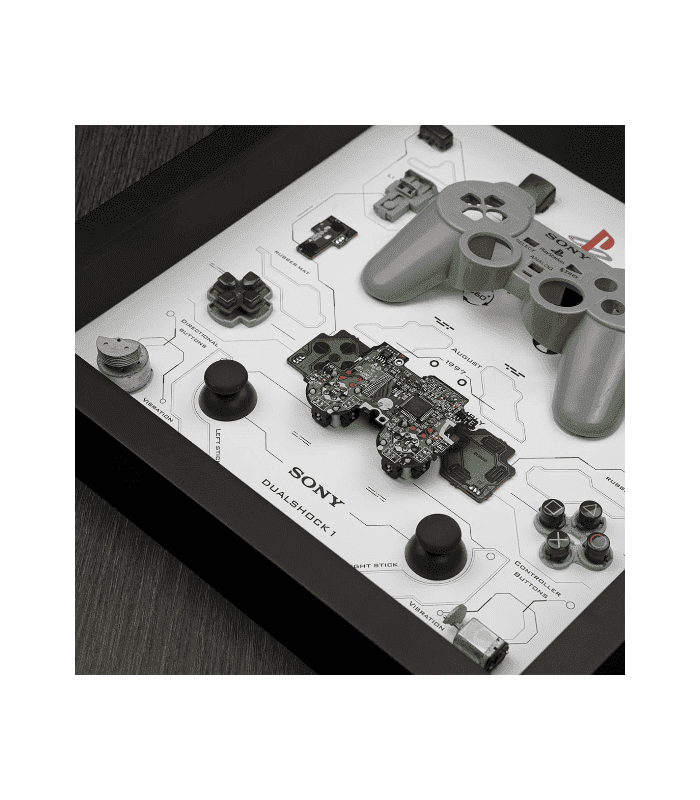Grid Dual Shock Controller - Yaya Station