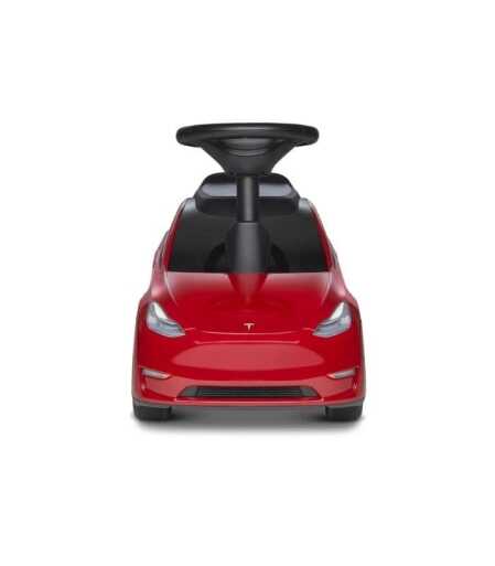 My First Model Y