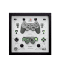 grid dual shock controller