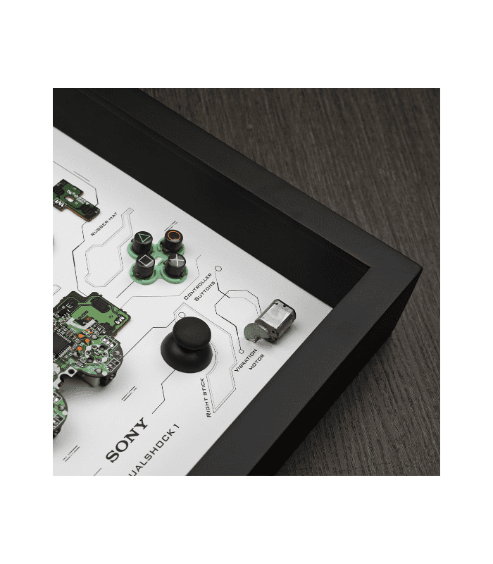 grid dual shock controller