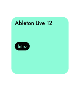 ableton live 12 intro