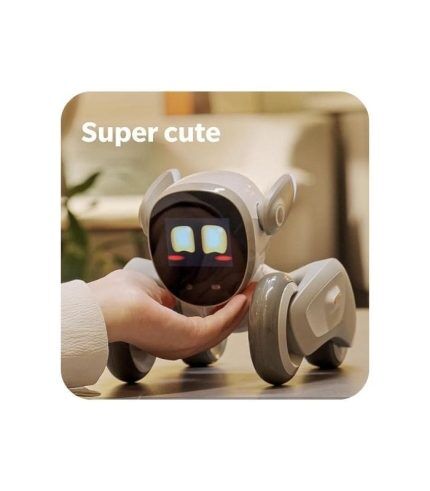 Loona samart robot premuim