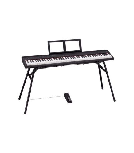 Roland GO-88P