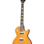 Epiphone - EILPSLASHMGNH3 Slash LP Standard Signature Guitar - Appetite Burst