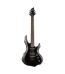 ESP - LTD F-10 Series Electric Guitar in Black Finish, ESP Gig Bag Included