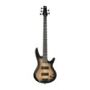 Ibanez GSR205SM-NGT Electric Bass Guitar 5 String