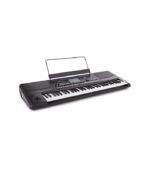 KORG - PA300 Professional Arranger Keyboard