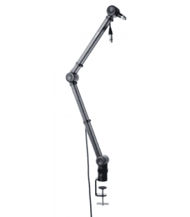 bespeco MSRA20