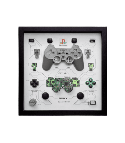 grid dual shock controller