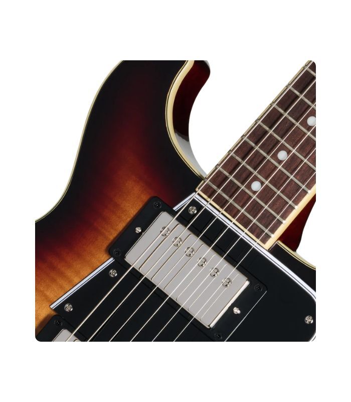 ⁦إيبيفون - جيتار ليز بول بفتحة مزدوجة وسطح مزخرف - لون بوربون بيرست⁩ - الصورة ⁦3⁩