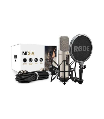 NT2-A
Multi-pattern Large-diaphragm Condenser Microphone