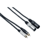 Bespeco - EAY2X2R300 - 2RCA-M to 2XLR-M 3m - Audio Cable