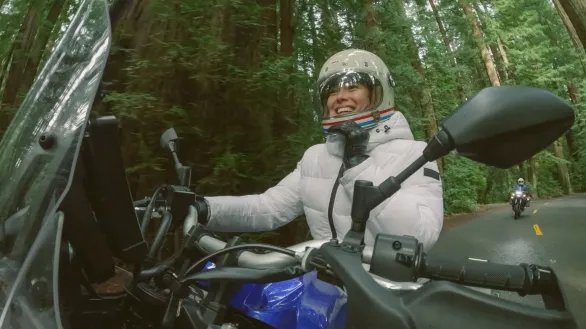 Boom + Adhesive Mounts Multi-use camera extension arm kit