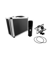 Slate Digital ML-1 VMS Large-Diaphragm Modeling Microphone (Matte Black)